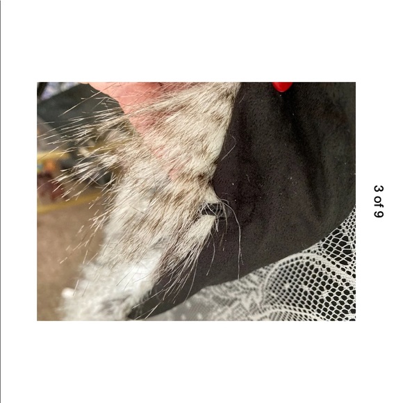 Geneology Fashion Dna Ladies Vest Nwt Large - Picture 3 of 4